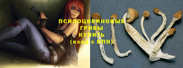 ПСИЛОЦИБИНОВЫЕ ГРИБЫ Надым
