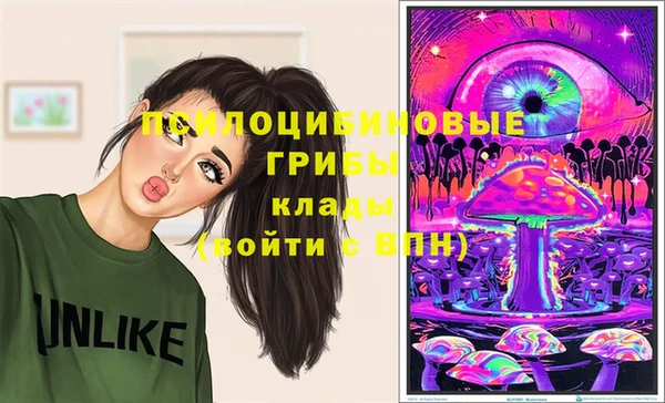 сатива Наволоки