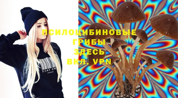 сатива Наволоки