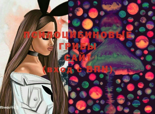 соль курить ск Михайловка