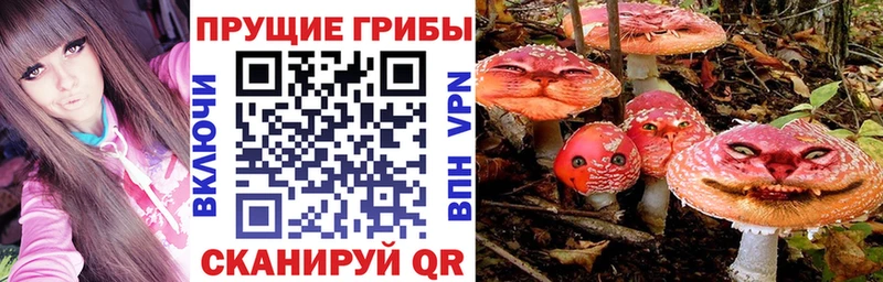 наркошоп  Мариинский Посад  Галлюциногенные грибы Psilocybe 